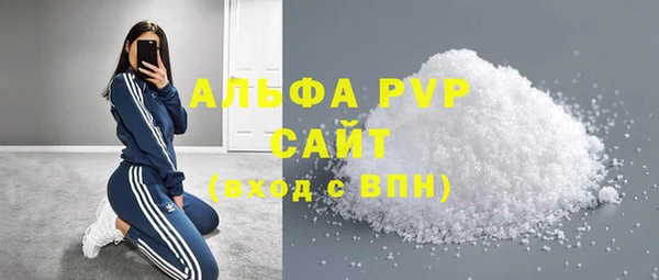 прущие грибы Баксан