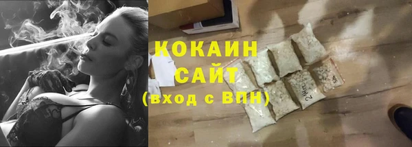 прущие грибы Баксан