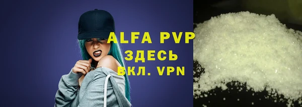 прущие грибы Баксан