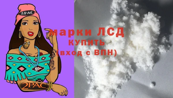 прущие грибы Баксан