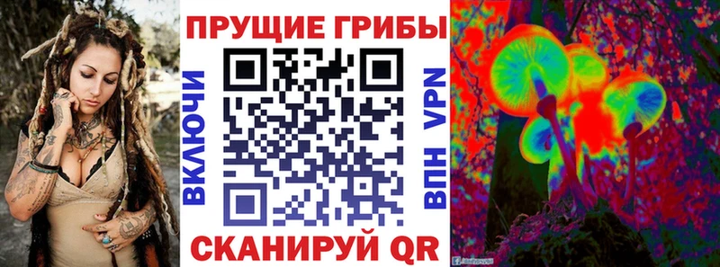 Галлюциногенные грибы Psilocybe  Чкаловск 